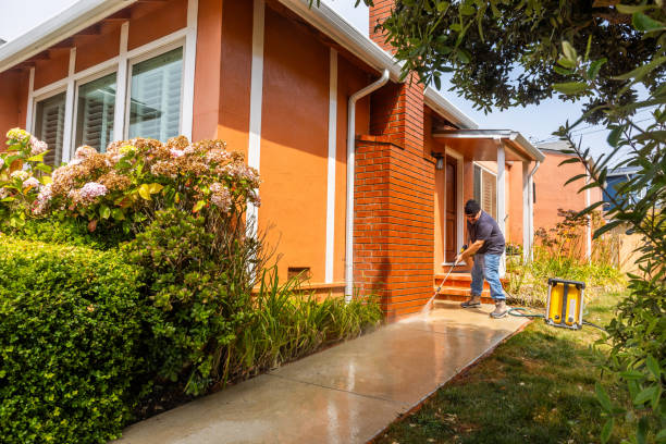 Best Roof Pressure Washing  in Chadbourn, NC